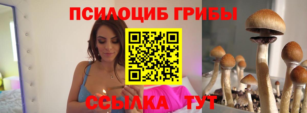 купить наркоту  Псилоцибиновые грибы Cubensis  Вход с VPN  Новочебоксарск 